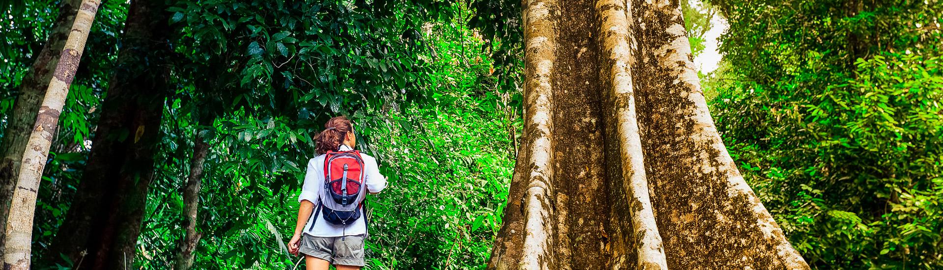 Frau beim Trekking im Regenwald |  Fred Froese, iStockphoto.com / Chamleon
