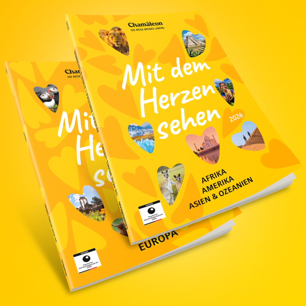 Elefanten ?berqueren die Stra?e, im Hintergrund ein Jeep | © IPGGutenbergUKLtd, iStockphoto.com / Chamäleon Elefanten ?berqueren die Stra?e, im Hintergrund ein Jeep | © IPGGutenbergUKLtd, iStockphoto.com / Chamäleon