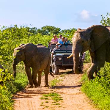 Elefanten ?berqueren die Stra?e, im Hintergrund ein Jeep | © IPGGutenbergUKLtd, iStockphoto.com / Chamäleon Elefanten ?berqueren die Stra?e, im Hintergrund ein Jeep | © IPGGutenbergUKLtd, iStockphoto.com / Chamäleon