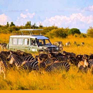 Safari-Fahrzeug umgeben von Zebras und Gnus in der Masai Mara | © William Davies, iStockphoto.com / Chamäleon Safari-Fahrzeug umgeben von Zebras und Gnus in der Masai Mara | © William Davies, iStockphoto.com / Chamäleon
